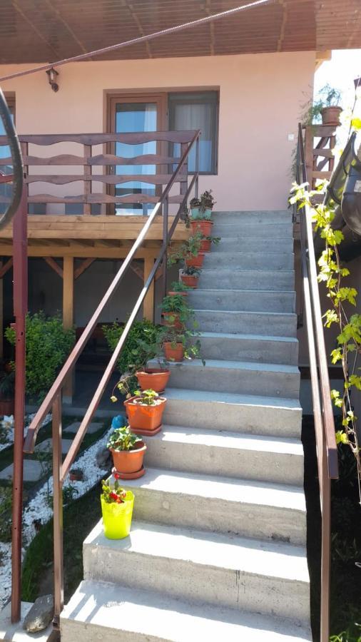 Hotel Casa Elena Ieşelniţa Exterior foto