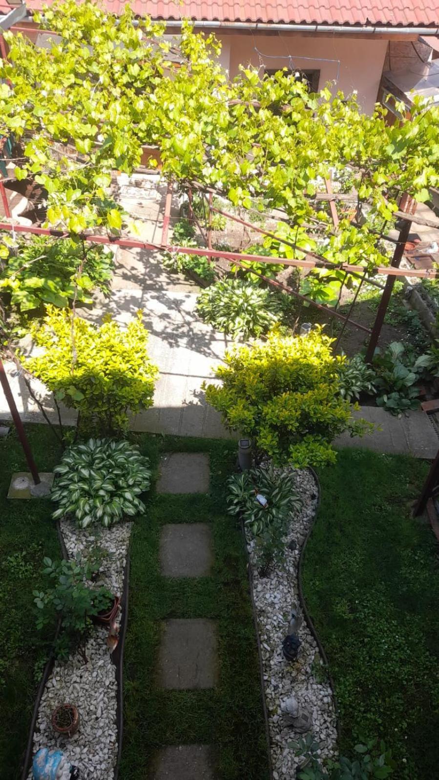 Hotel Casa Elena Ieşelniţa Exterior foto